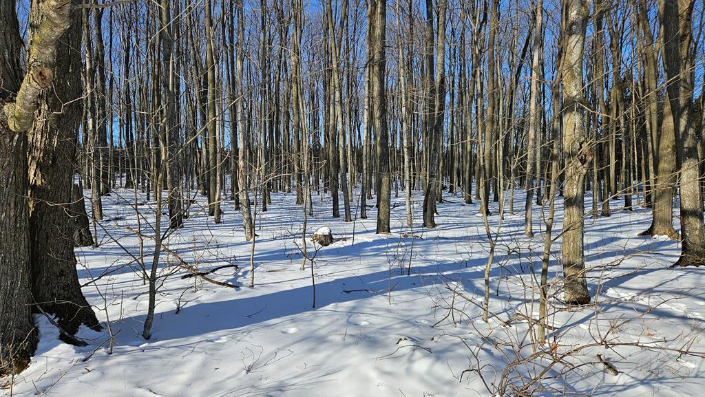 T B D T B D Rock Ridge Road Sturgeon Bay, WI 54235 - Photo 5 of 7