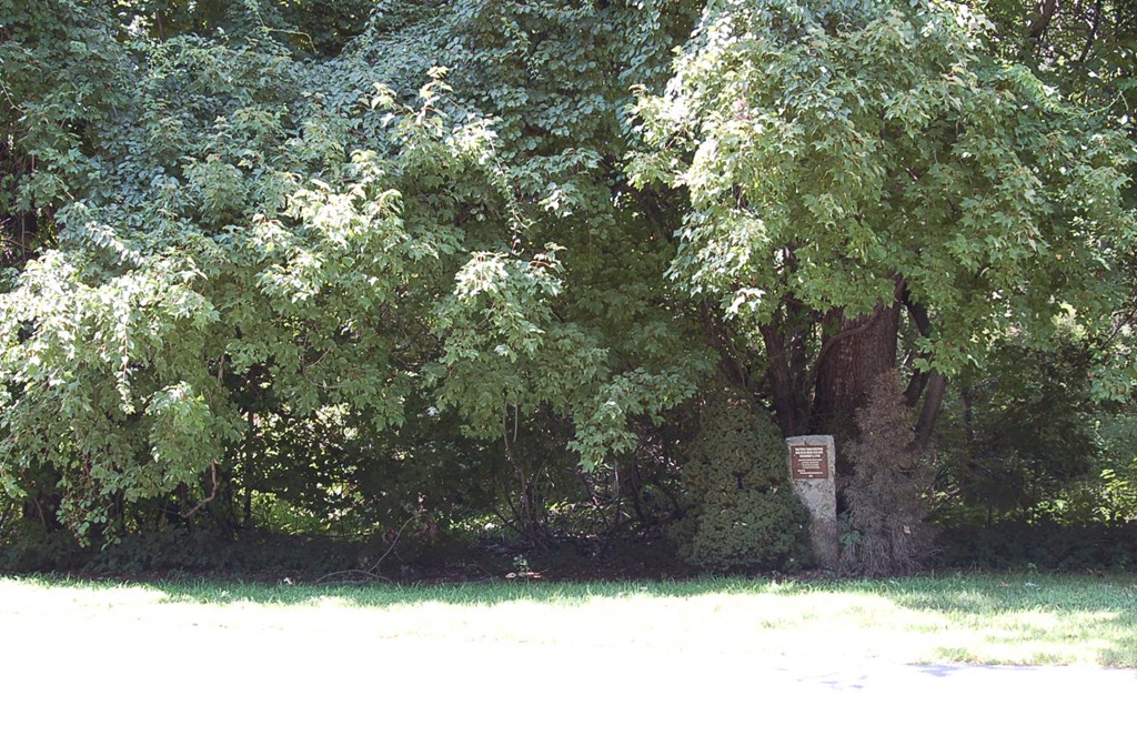 82 8 Lots Road Sutton, MA 01590 - Photo 2 of 4