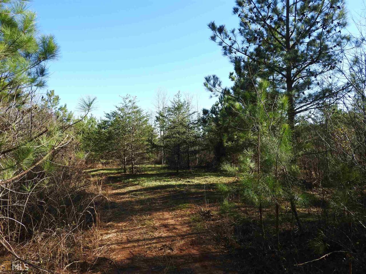 0 Leeches Road, Unit 9586 Ellijay, GA 30540 - Photo 1 of 1 Gallery Image 1