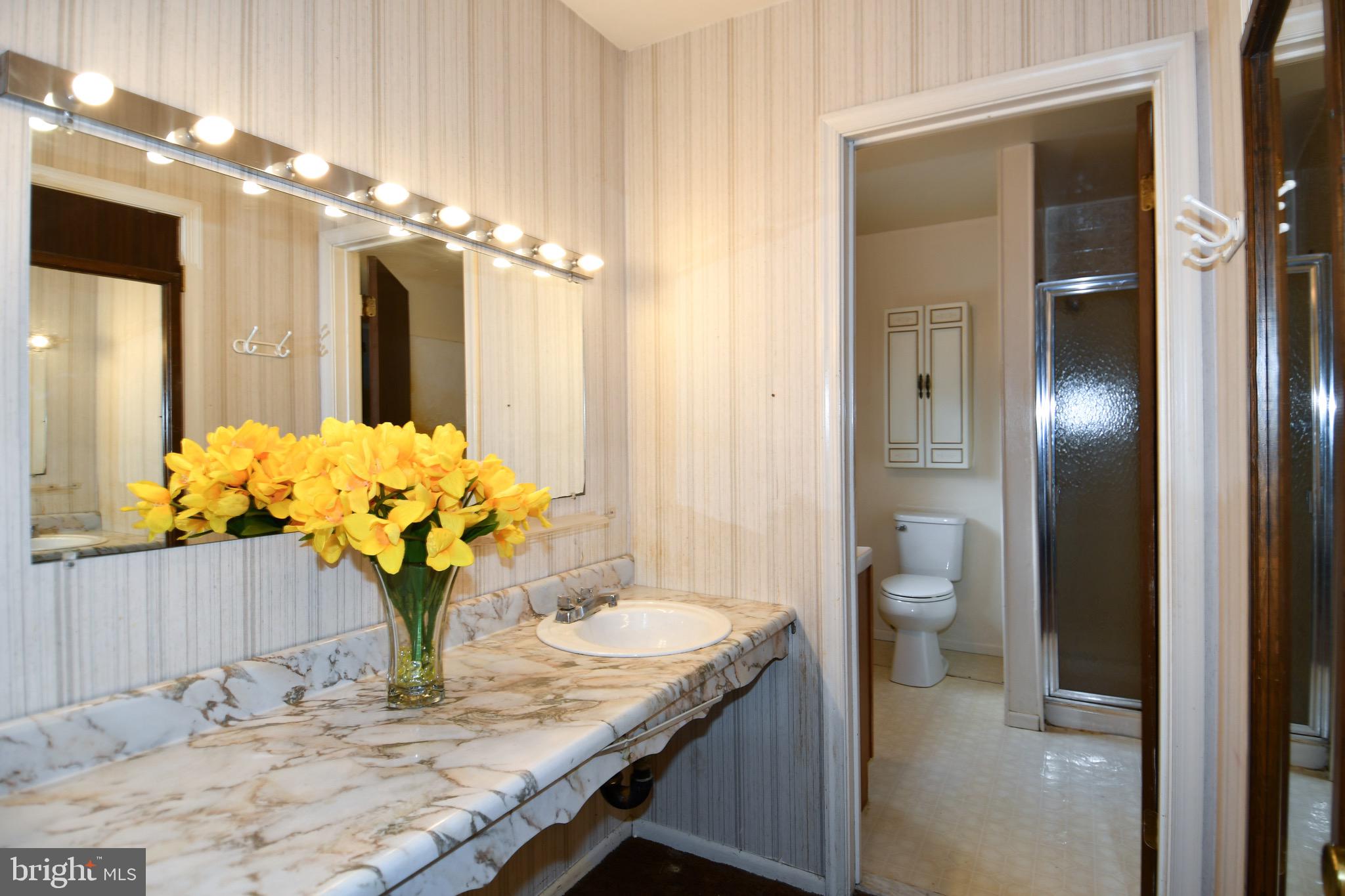1030 Kings Tree Drive Bowie, MD 20721 - Photo 20 of 37