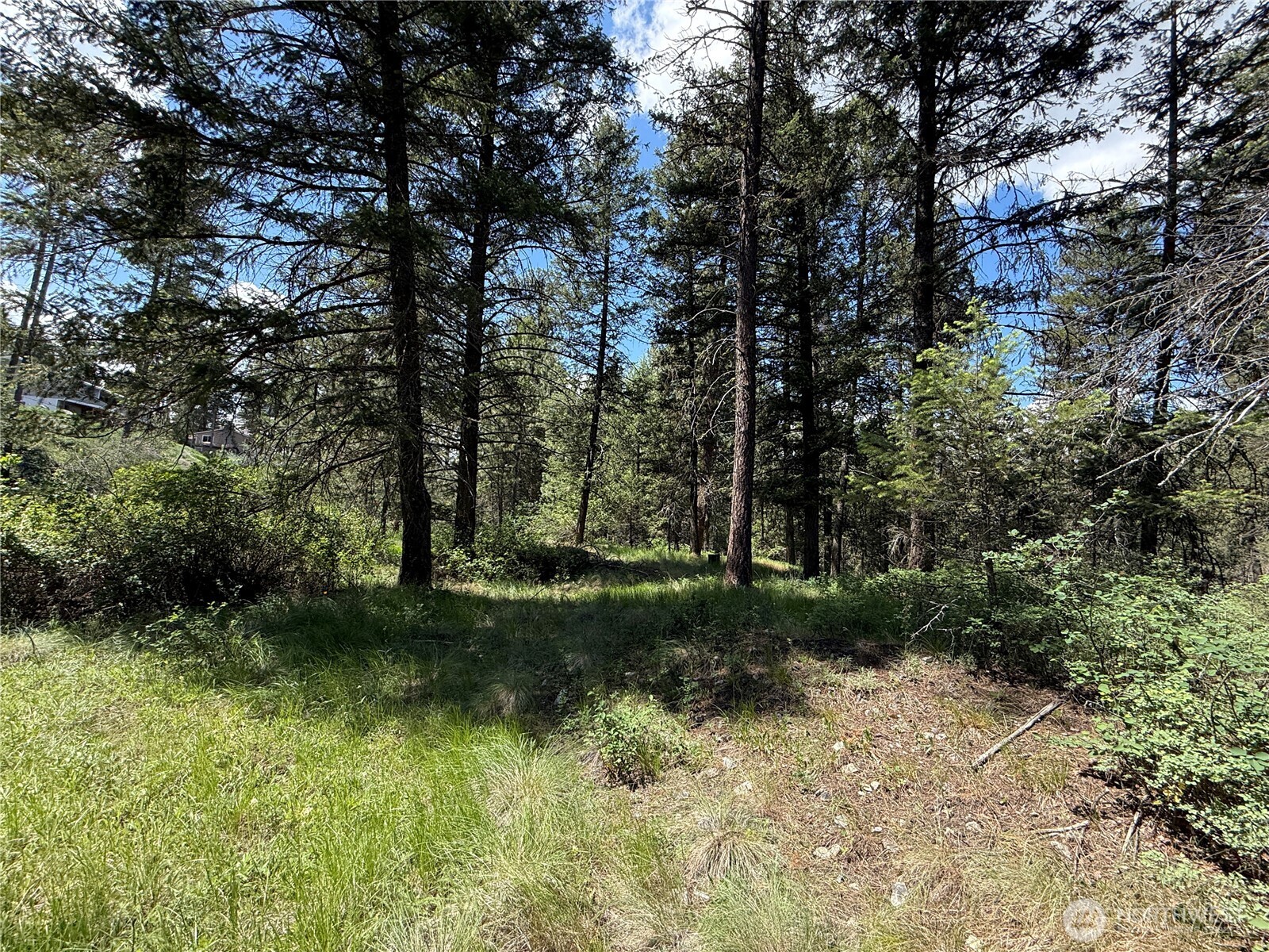21 Pine Grove Street Republic, WA 99166 - Photo 20 of 21