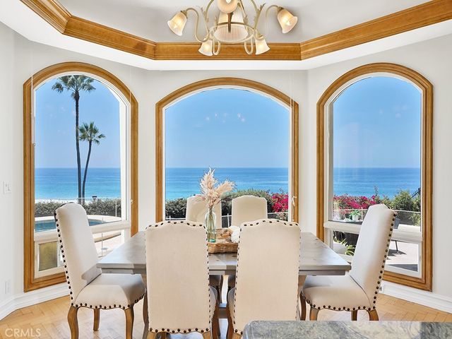 a view of a backyard with plants and palm trees