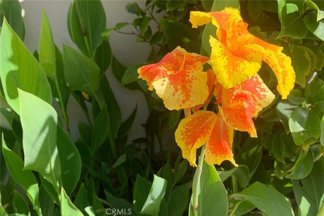 a view of a living room and chandelier
