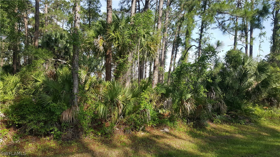 26469 Glaspell Road Punta Gorda, FL 33955 - Photo 1 of 1 a view of a yard