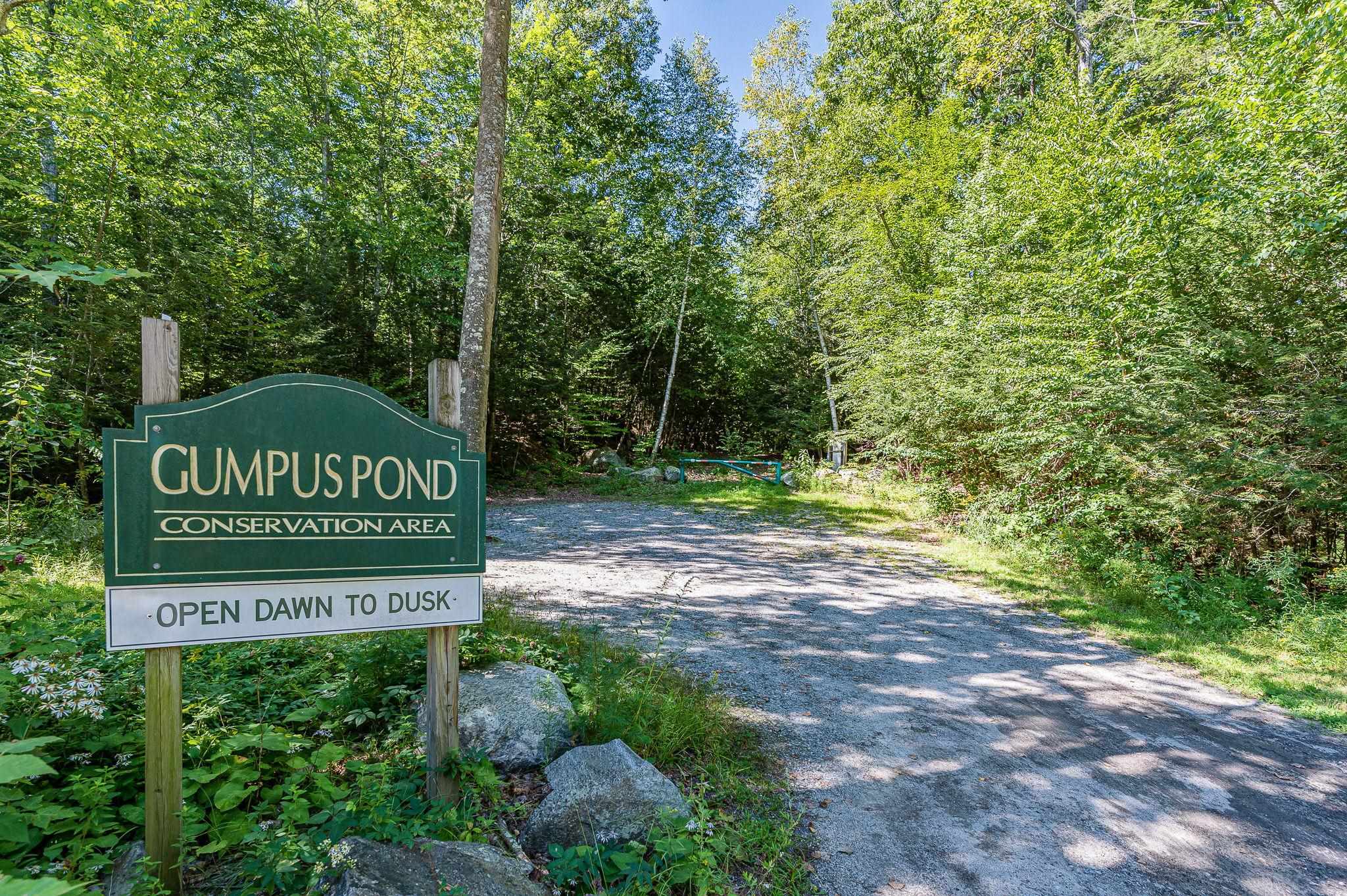 52 Hinds Lane, Unit B Pelham, NH 03076 - Photo 3 of 12