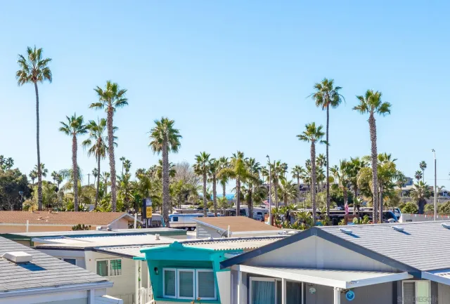 a row of palm trees and swimming pool in the backyard of a house