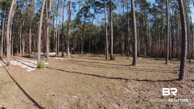 9094 Bay Road Magnolia Springs, AL 36555 - Photo 12 of 27 Waterfront Lots