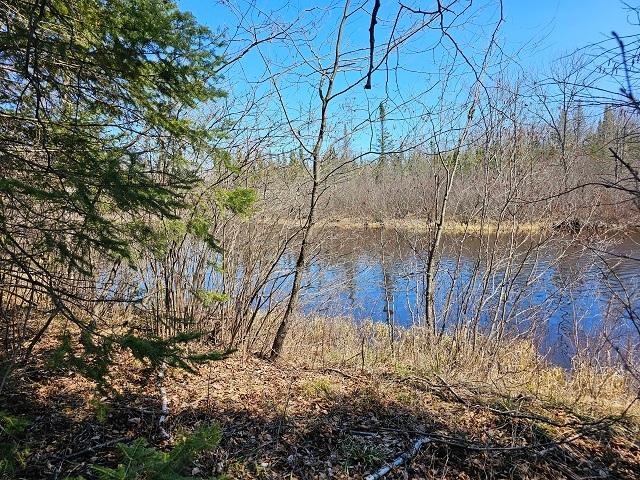 Lot 10 Weber Lake Road Mercer, WI 54547 - Photo 12 of 16 Gallery Image 12