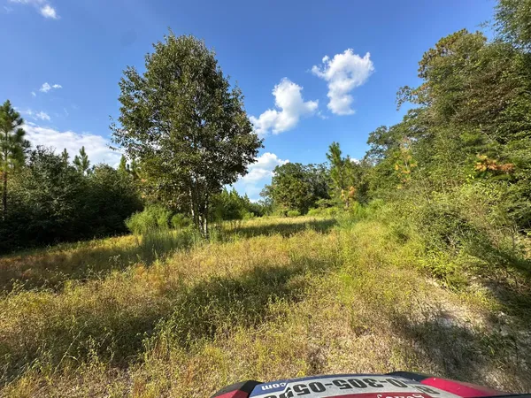 a view of lake with green space