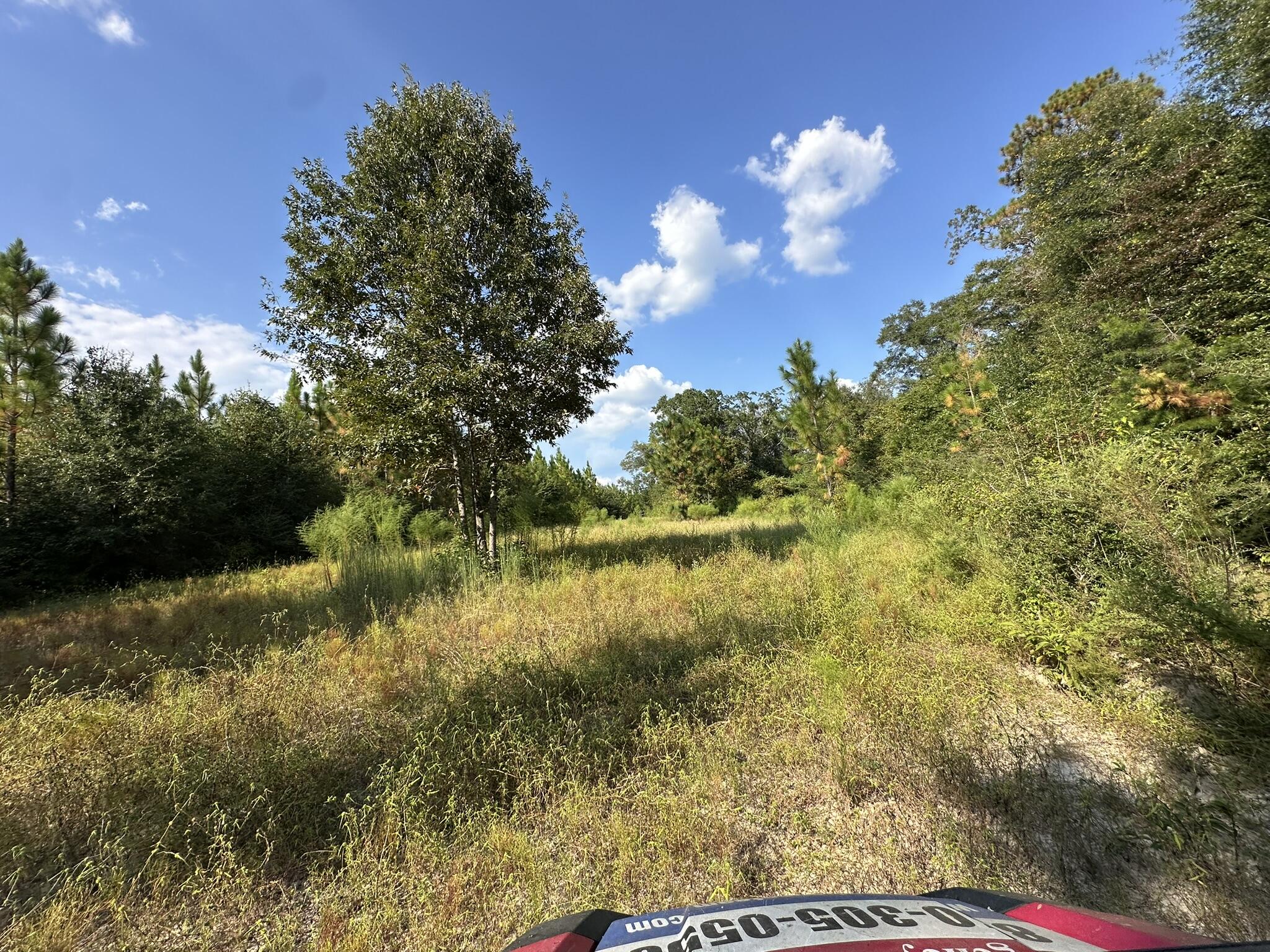 B & C New Ebenezer Road Laurel Hill, FL 32567 - Photo 8 of 11 a view of lake with green space