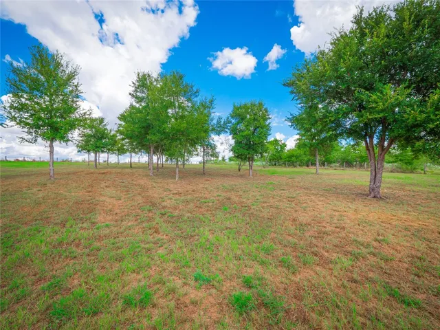 a view of a yard with a tree
