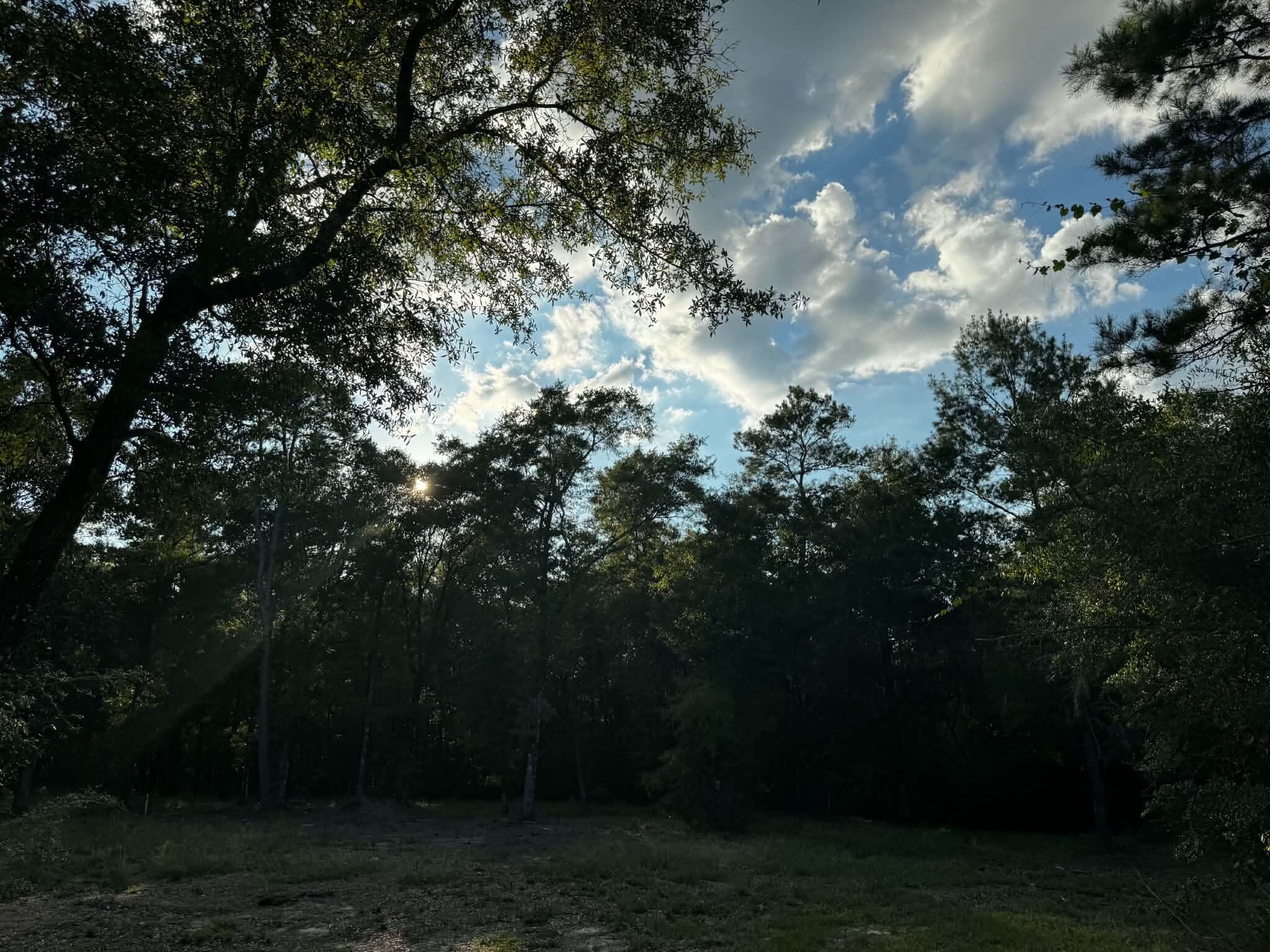 2.24-acres Woolley Road Crestview, FL 32539 - Photo 4 of 6 3