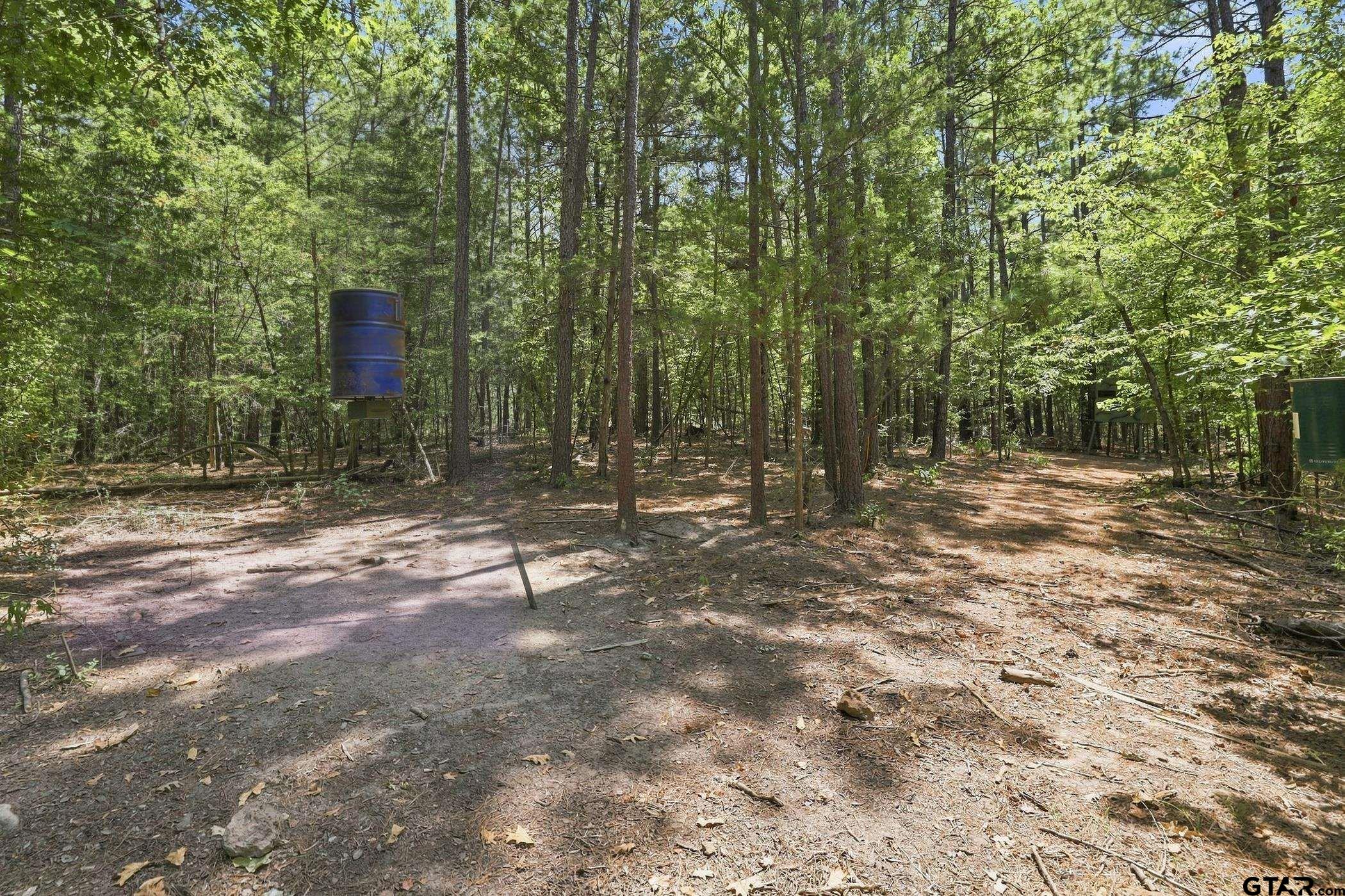 1798 County Road 2404 Rusk, TX 75785 - Photo 6 of 29 Gallery Image 6