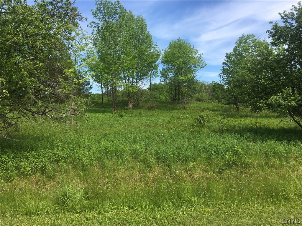 0 Deminuk Road Boonville, NY 13309 - Photo 2 of 21 Gallery Image 2