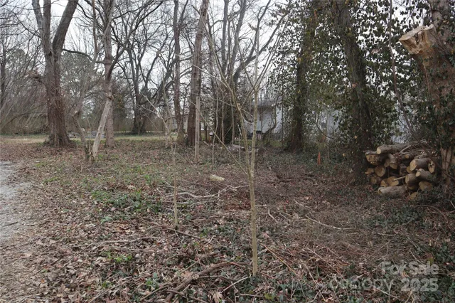 a view of a forest with trees in the background