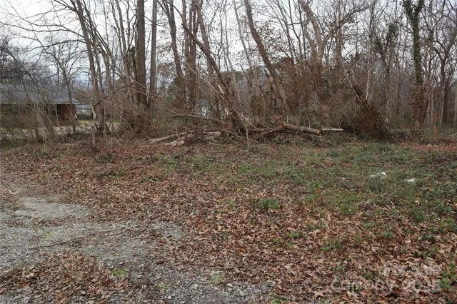 a view of a forest with trees in the background