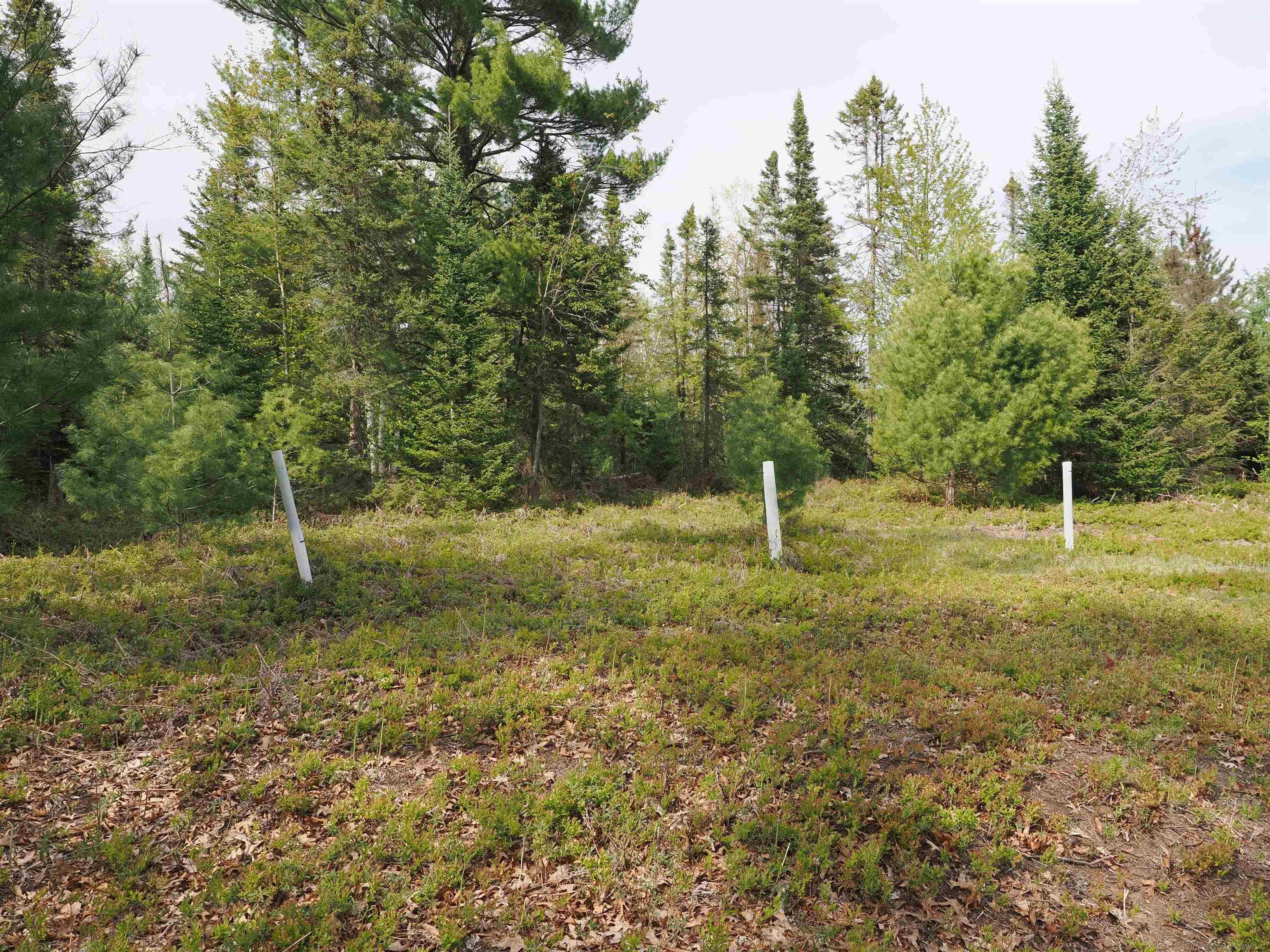 4011 Sandall Road Alpena, MI 49707 - Photo 45 of 73