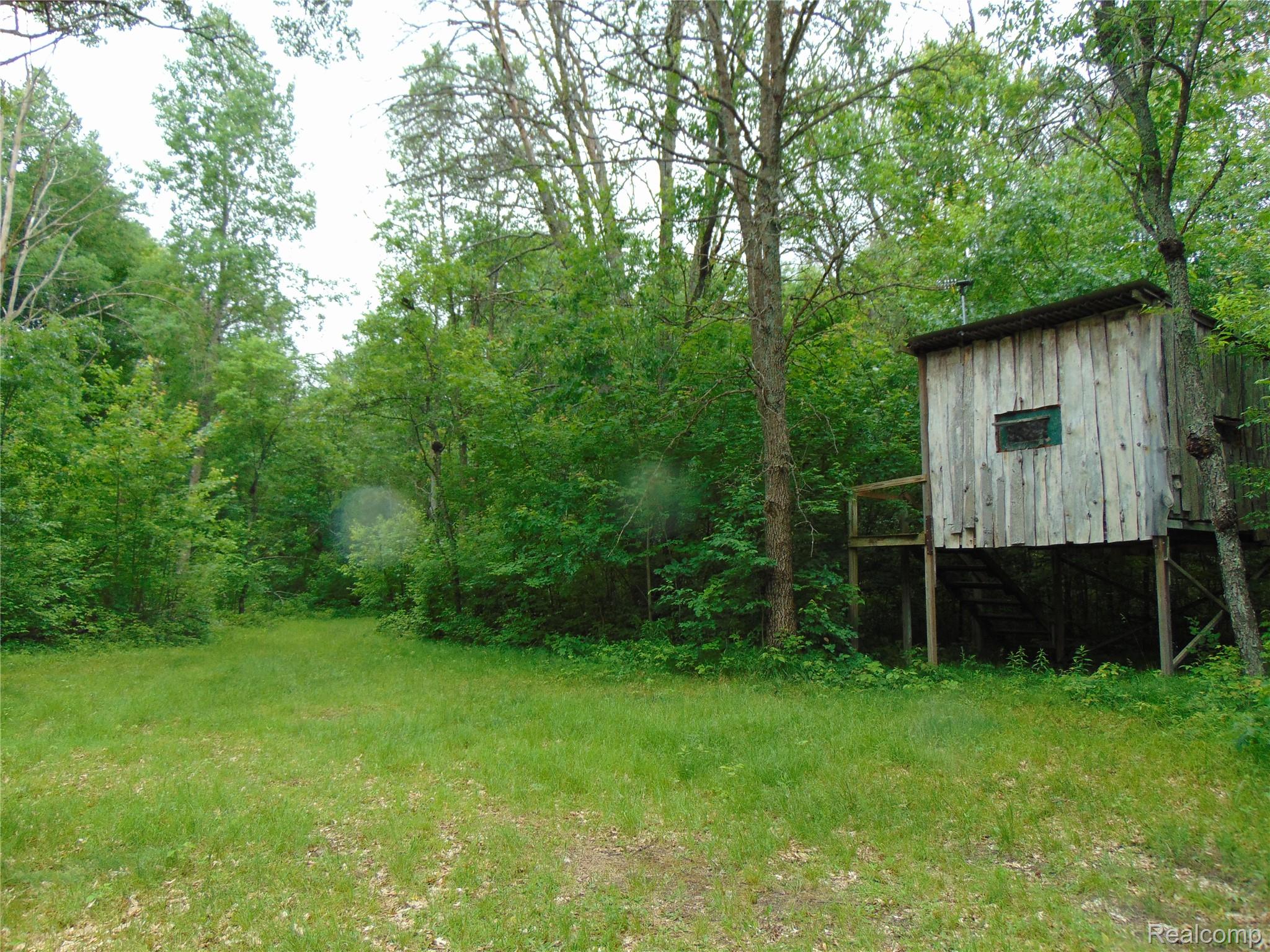 DSC02160 - Copy.JPG