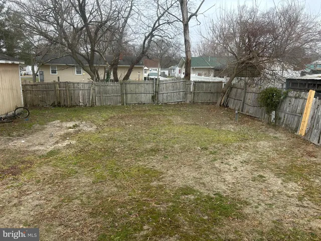 a view of backyard with tree