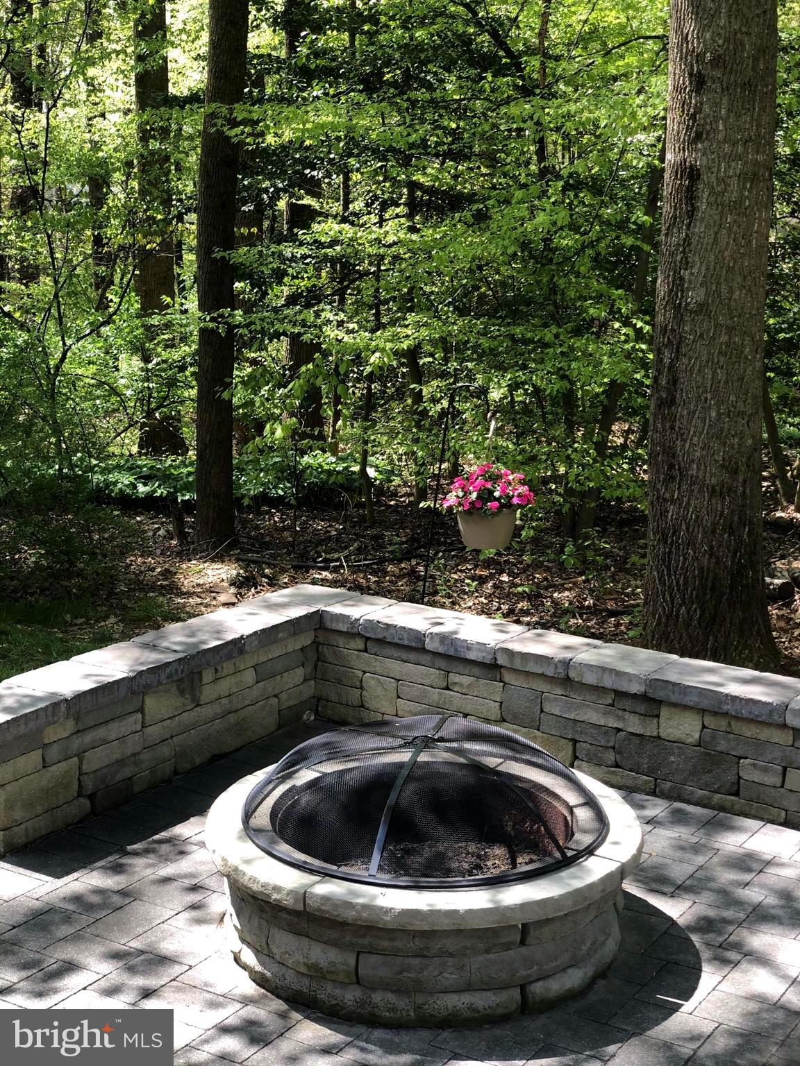 10845 Burr Oak Way Burke, VA 22015 - Photo 7 of 47 Firepit gathering area