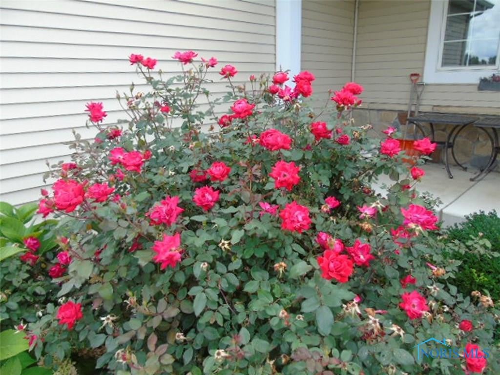 3274 Williams Defiance County Line Road Edgerton, OH 43517 - Photo 9 of 36 Gallery Image 9