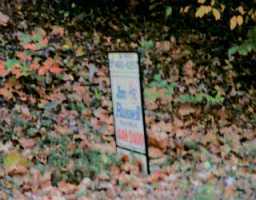 0 Blevins Gap Road Louisville, KY 40272 - Photo 1 of 1 Primary Photo