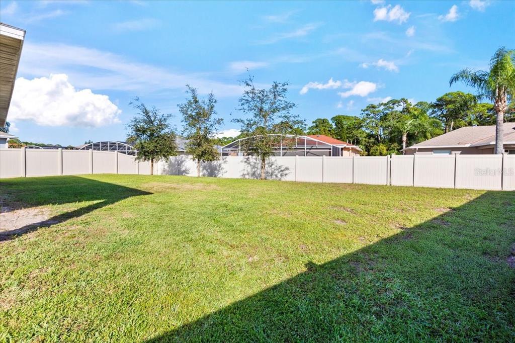 205 Old Mill Pond Road Palm Harbor, FL 34683 - Photo 39 of 57 a view of a backyard