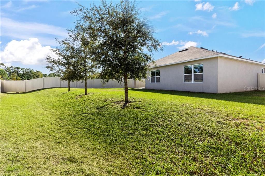 205 Old Mill Pond Road Palm Harbor, FL 34683 - Photo 43 of 57 a view of pool with a backyard
