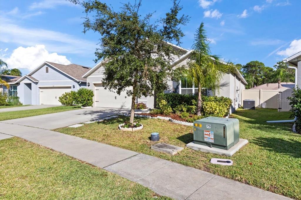 205 Old Mill Pond Road Palm Harbor, FL 34683 - Photo 45 of 57 a view of a house with basketball court