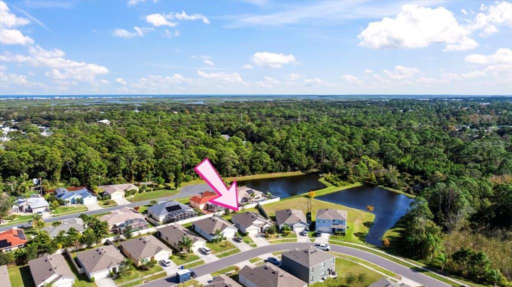 205 Old Mill Pond Road Palm Harbor, FL 34683 - Photo 51 of 57