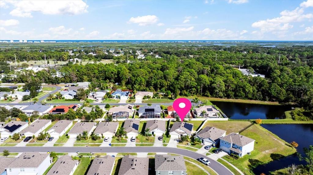 205 Old Mill Pond Road Palm Harbor, FL 34683 - Photo 54 of 57