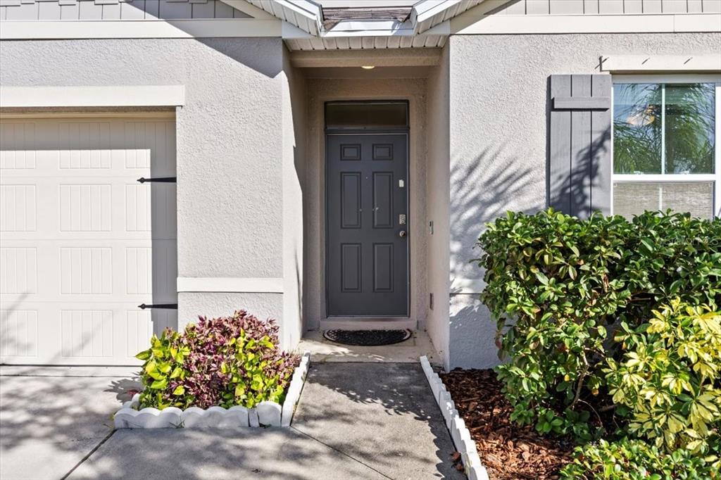 205 Old Mill Pond Road Palm Harbor, FL 34683 - Photo 56 of 57 a front view of a house