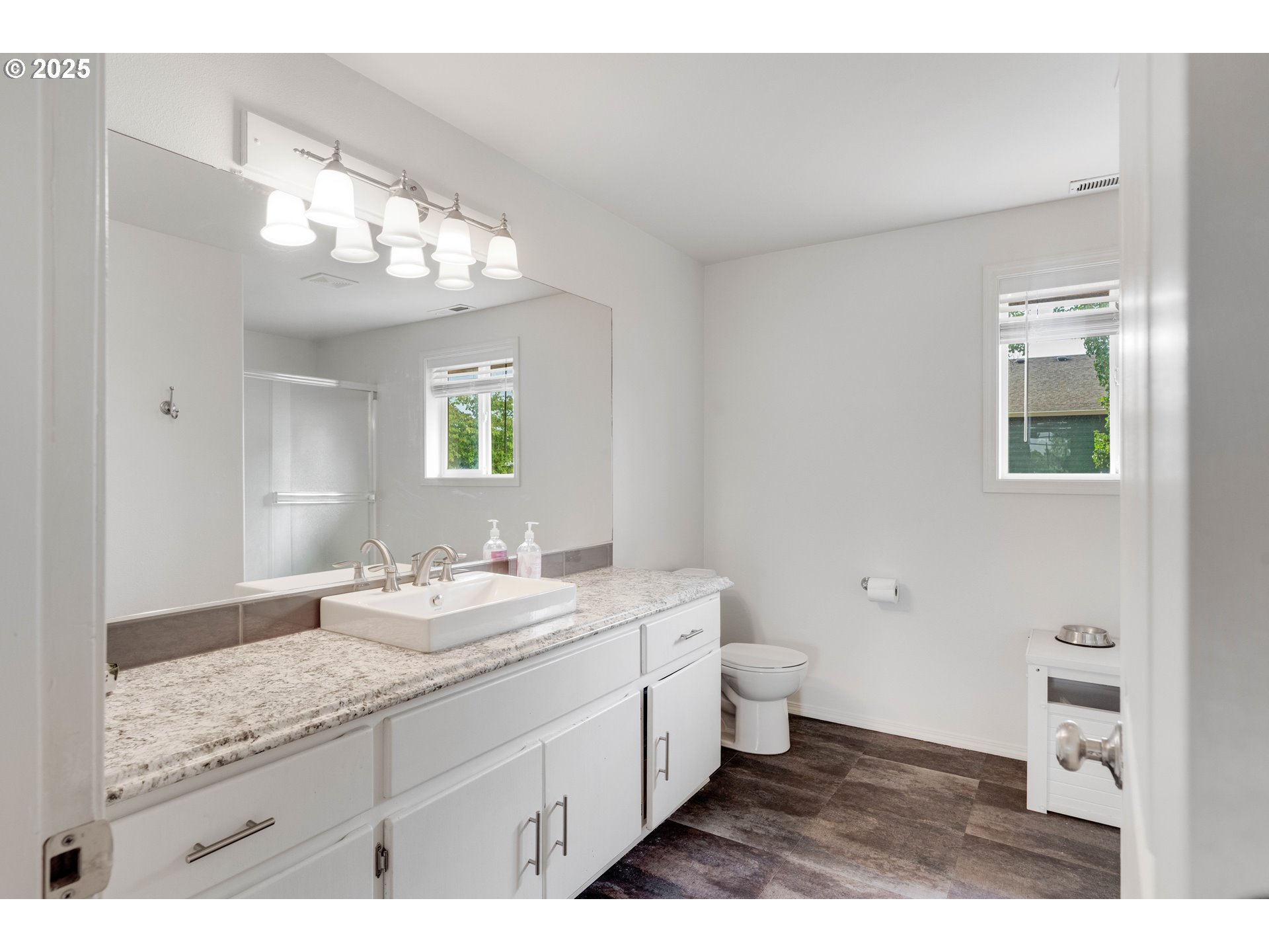 4043 Southeast Harmony Place Camas, WA 98607 - Photo 28 of 40 a bathroom with a granite countertop sink a toilet and a mirror