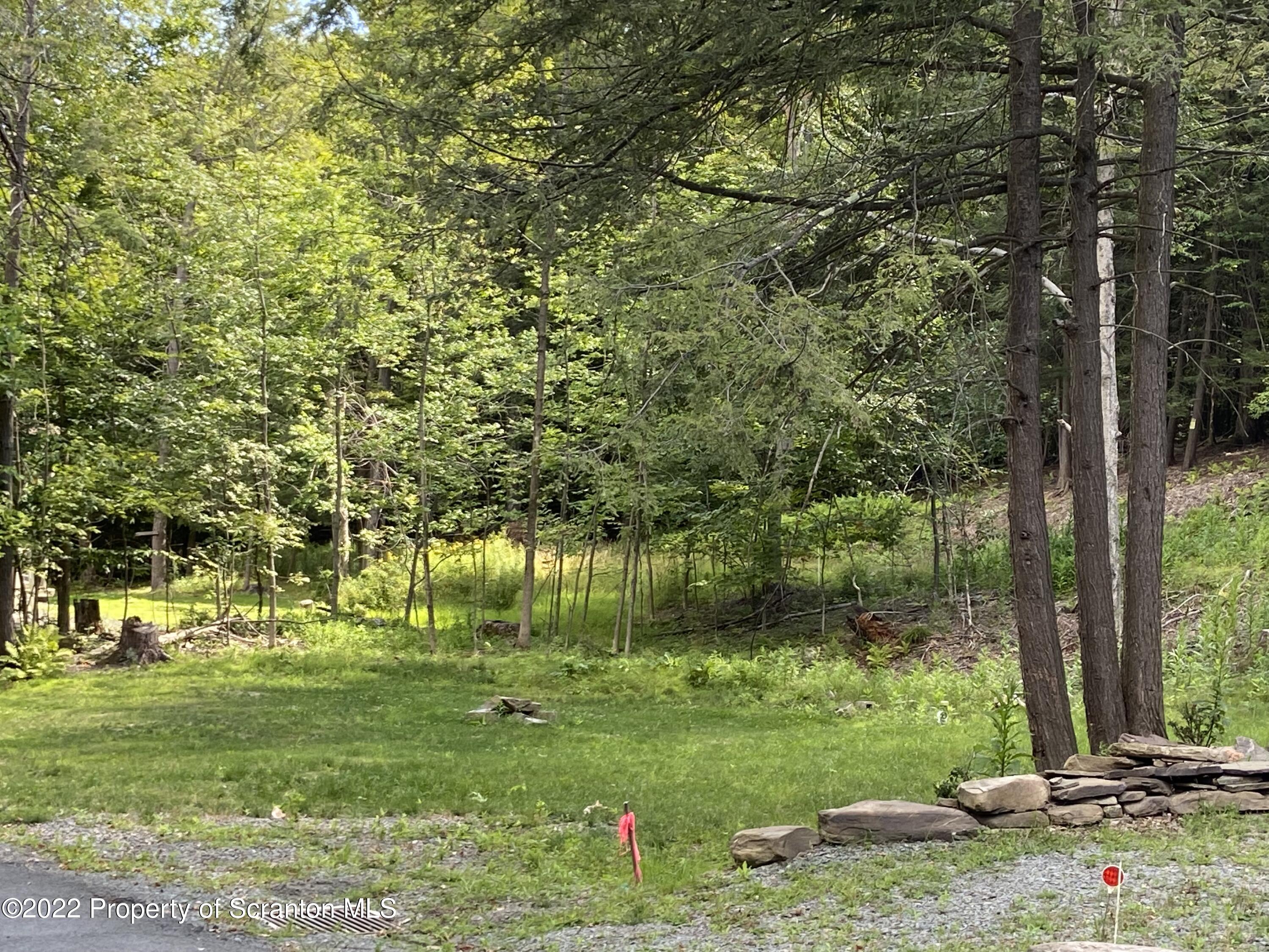 140 Fall Lane Union Dale, PA 18470 - Photo 3 of 11 a backyard of a house with lots of green space and chair