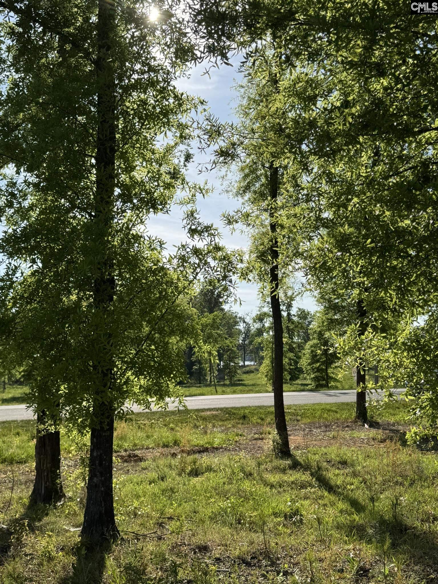 238 Navigator Trail Prosperity, SC 29127 - Photo 8 of 22