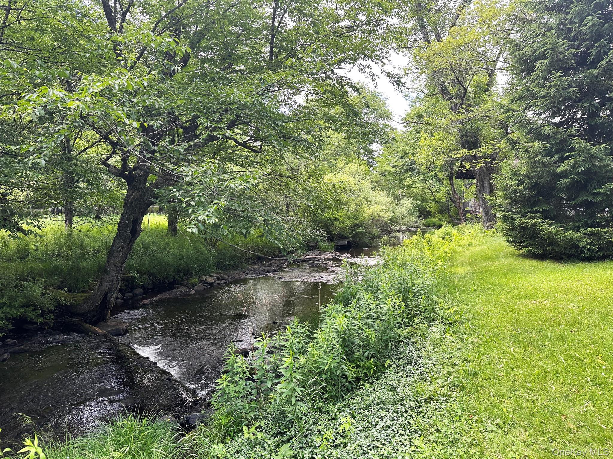 818 Methol Road Roscoe, NY 12776 - Photo 11 of 39 Trout Brook winding along the property boundary, offering a peaceful waterfront setting, scenic natural beauty, and renowned fly fishing opportunities.