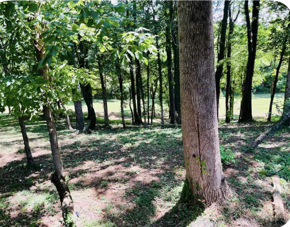 145 Gamble Street Doyle, TN 38559 - Photo 19 of 26
