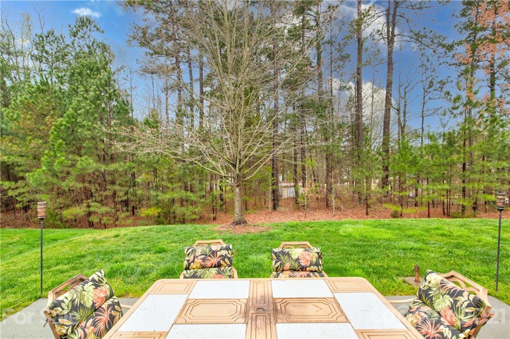 894 Platinum Drive Fort Mill, SC 29708 - Photo 27 of 35 Gallery Image 27