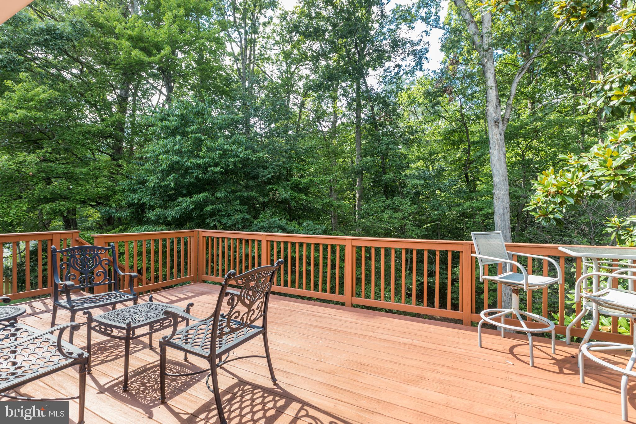 7893 Godolphin Drive Springfield, VA 22153 - Photo 17 of 26
