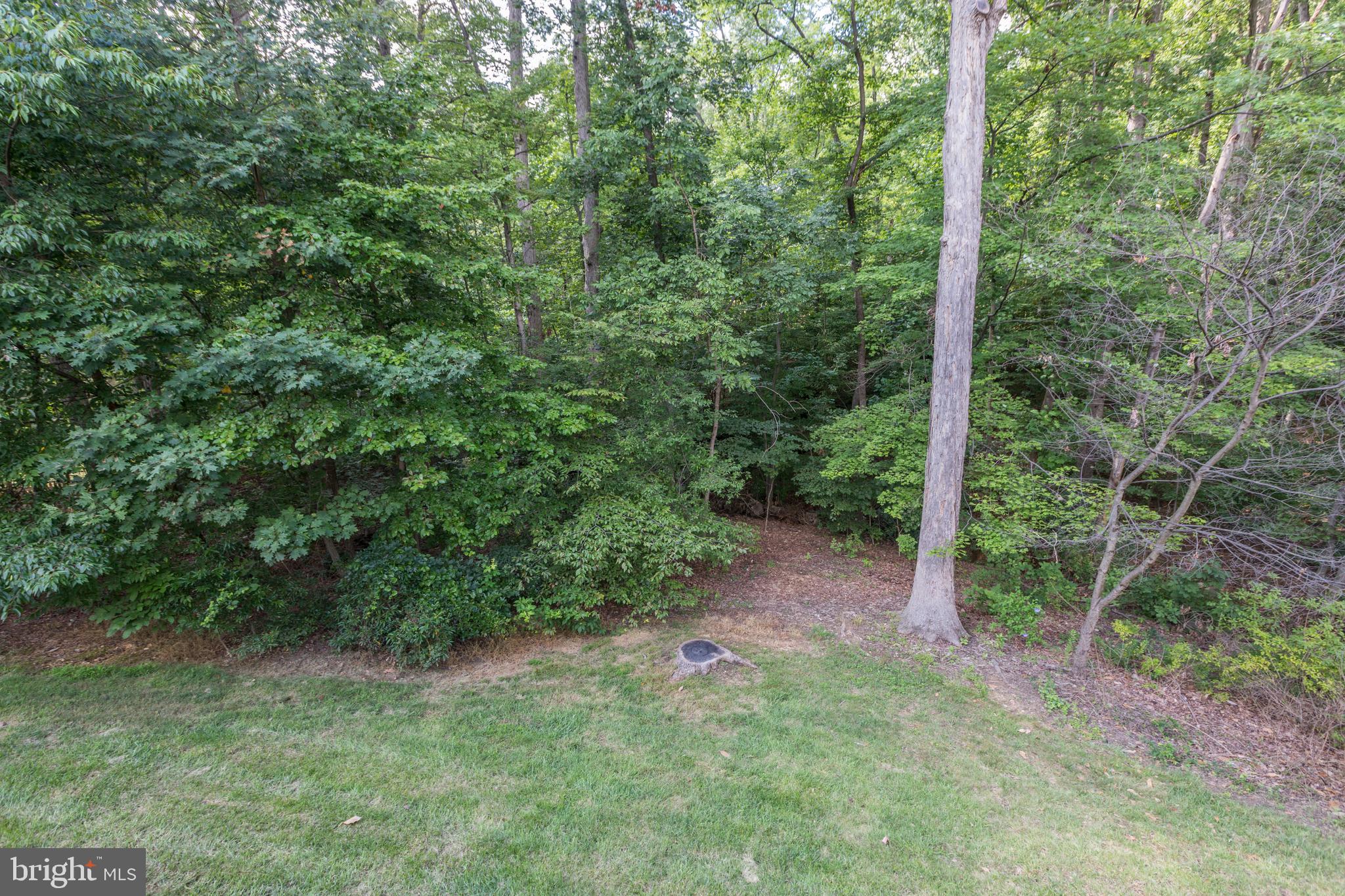7893 Godolphin Drive Springfield, VA 22153 - Photo 19 of 26