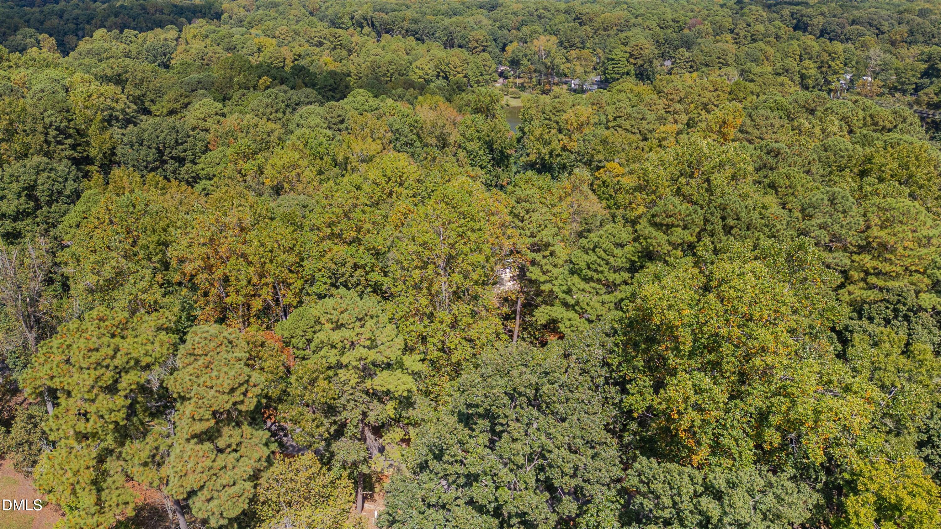 8601 Oneal Road Raleigh, NC 27613 - Photo 76 of 87 81-8601 Oneal-80