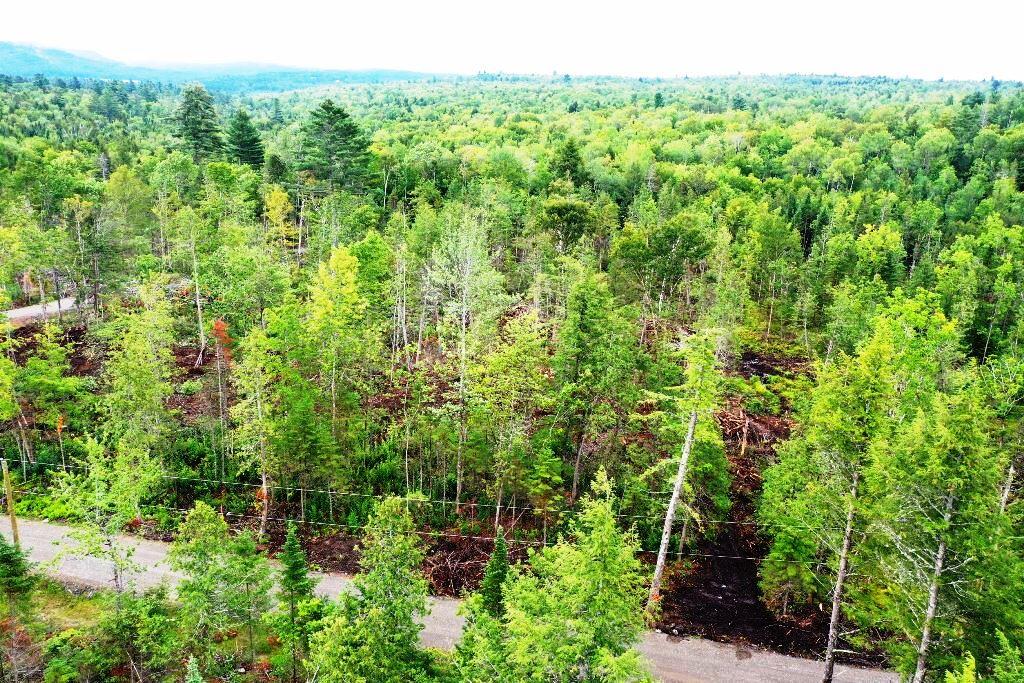 Lot 4 Hammond Brook Road Monson, ME 04464 - Photo 2 of 5 DJI_0794