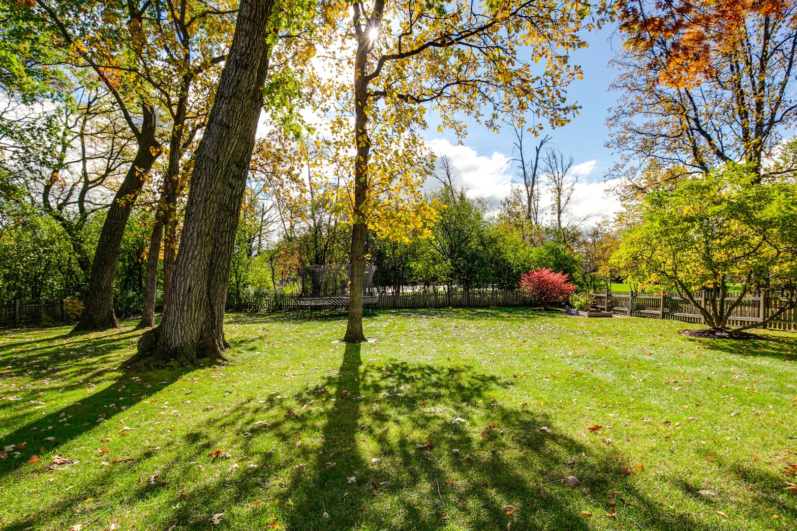 1267 West Deerpath Road Lake Forest, IL 60045 - Photo 46 of 47 a view of a backyard with large trees