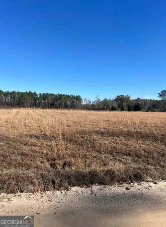 $25,000 | Tract 2 Little Hurricane Creek Road, Waycross, GA 31503