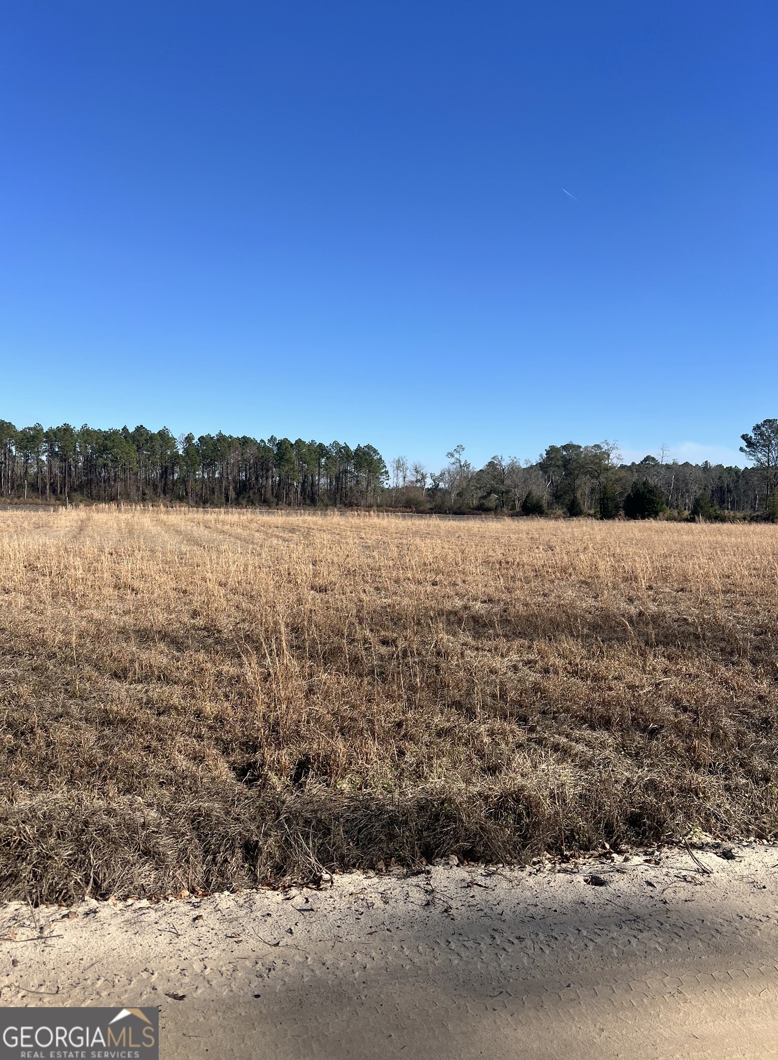 2 Little Hurricane Creek Road Waycross, GA 31503 - Photo 1 of 2