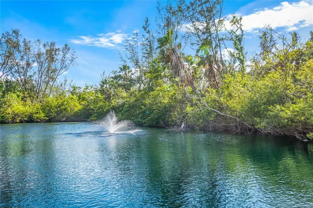 a view of a lake from a yard