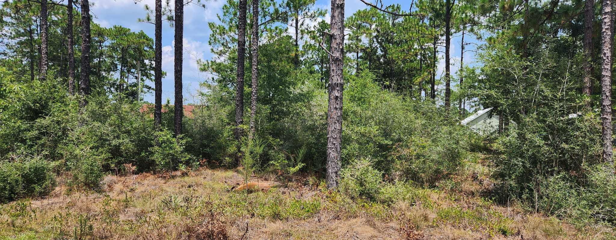 Xxx Caswell Road DeFuniak Springs, FL 32433 - Photo 1 of 3 364546006_133841879766901_40910198644417
