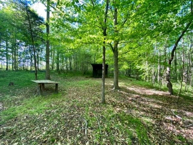 Byrd Road Burlington, NC 27217 - Photo 6 of 19 Photo 6