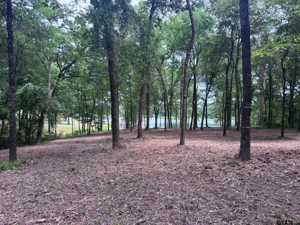 $219,900 | 1503 Alba Tx 75410, Alba, TX 75410
