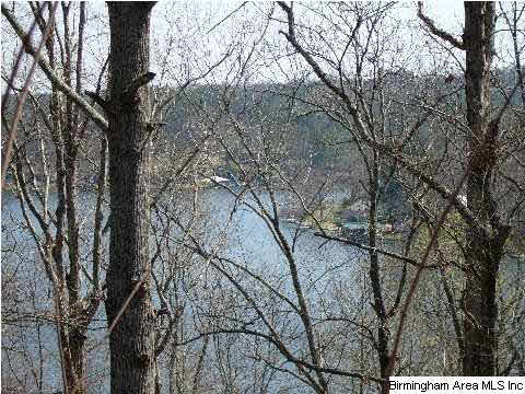 Sunset Strip Oneonta, AL 35121 - Photo 3 of 9 Gallery Image 3